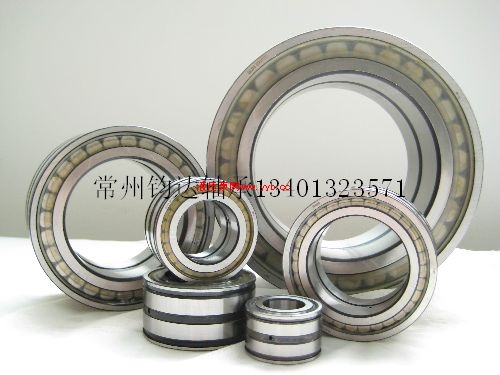  SL0450  NNF